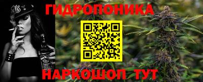 гашик Лесосибирск