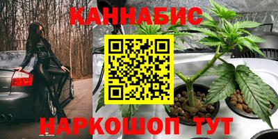 гашик Лесосибирск
